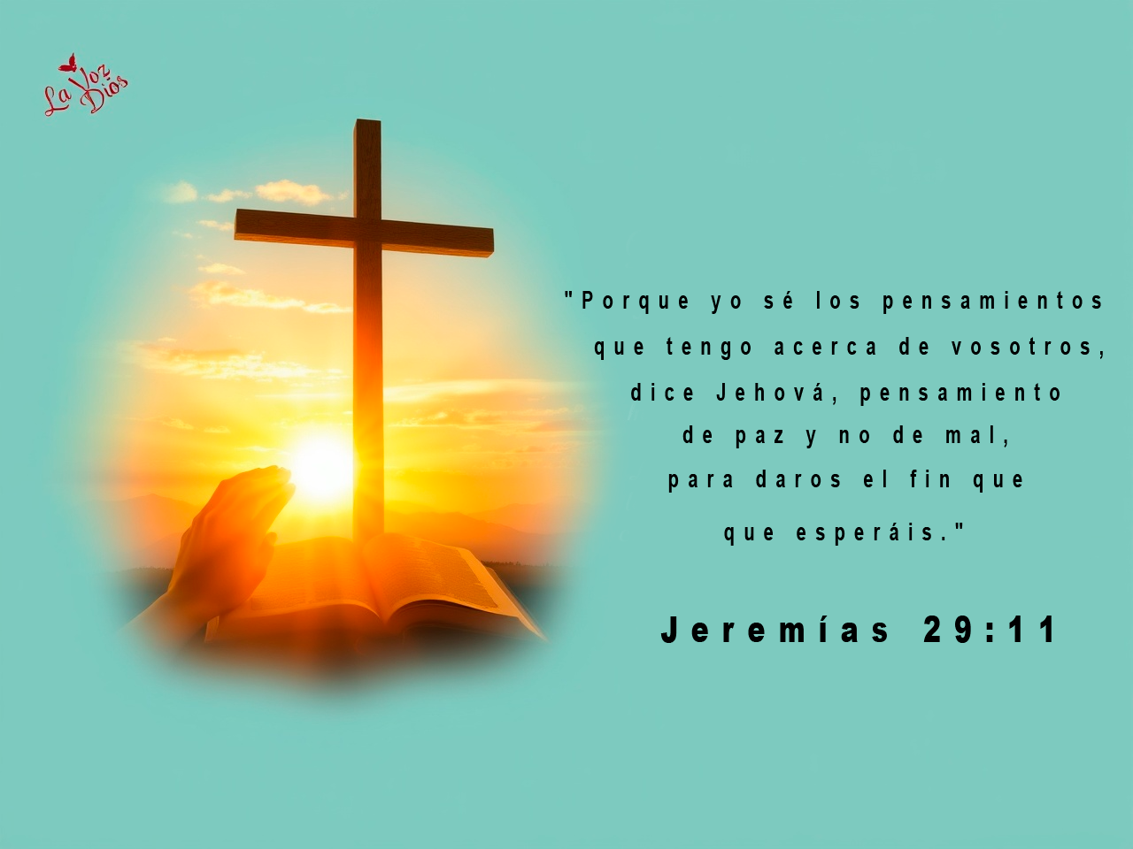 biblia-2